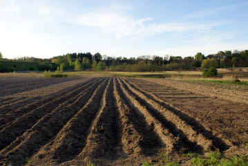 field