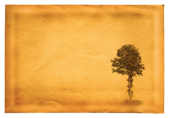 old paper with tree