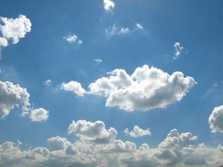 cielo