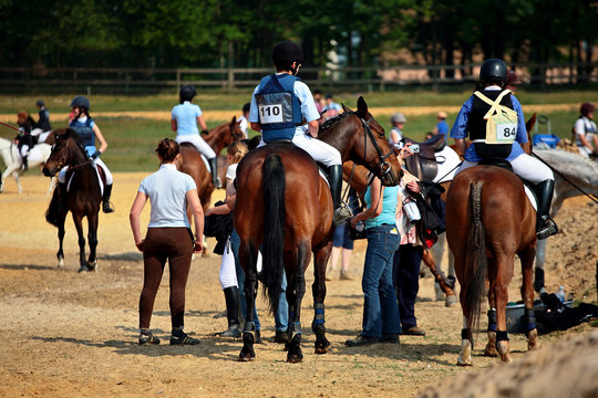 Chevaux Dressage Images – Browse 803 Stock Photos, Vectors, and Video ...