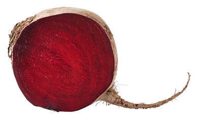 beet section isolated