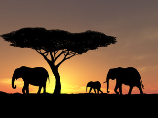 family of elephant - 3143108