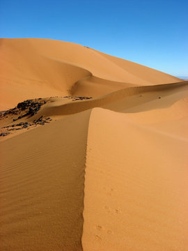 petits pas sur la dune