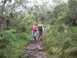 randonnée la réunion