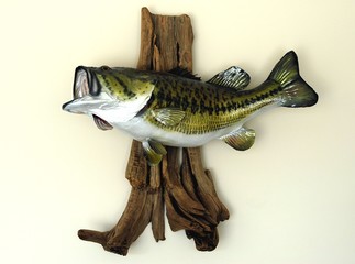 Obraz premium large mouth bass mounted