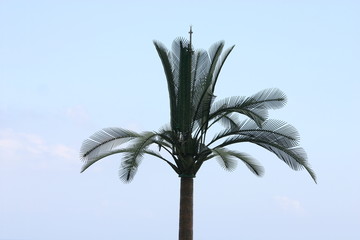 faux palmier