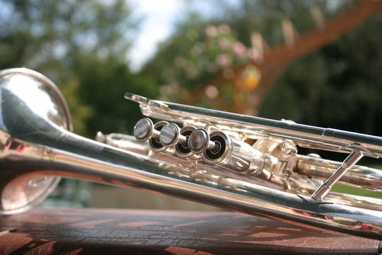 trompette_01