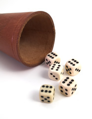 fünf würfel mit würfelbecher