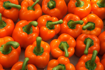 brightly colored bell peppers