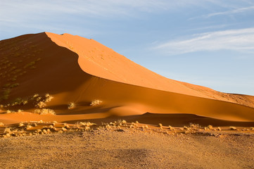 Fototapeta na wymiar namib sand dune