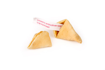 fortune cookie