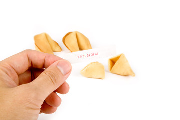 fortune cookie