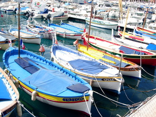 Obraz premium pointus