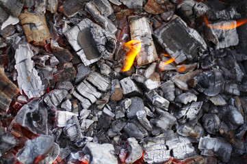 carbons 2