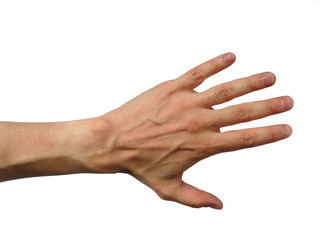 main gauche d'homme sur fond blanc