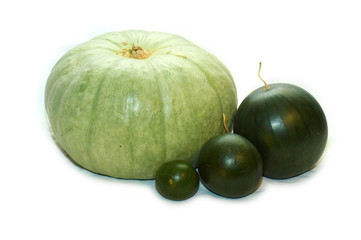 watermelons & pumpkin