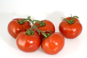 tomatoes