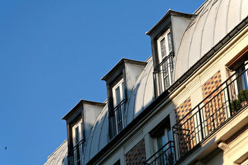 Fototapeta na wymiar dach paris