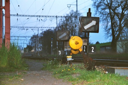 shunt