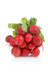 bunch of radish