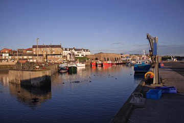 seahouses, harbour,