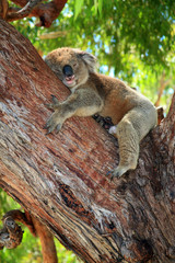 australien_07_ 0152