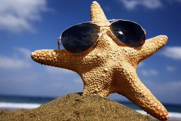 estrella cool