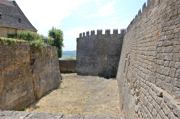 moat at chateau de beynac