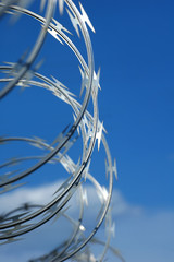 rolled barbwire