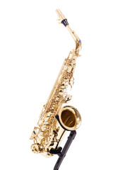 golden sax