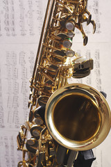 Obraz premium musician instrument