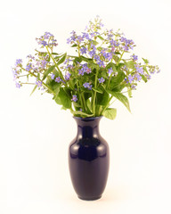 forget-me-nots in a dark blue vase