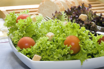 green salad