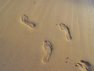 Fototapeta na wymiar ślady stóp na piasku