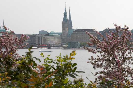 hamburgansicht mit mandelbl&uuml;te