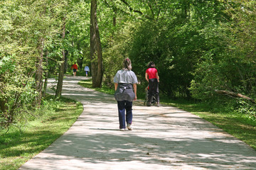 Fototapeta premium fitness trail