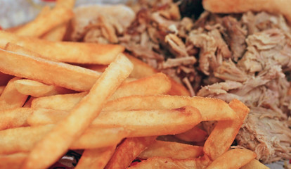 barbecue pork and french friesa