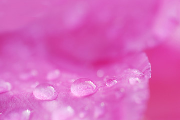 goutte d eau