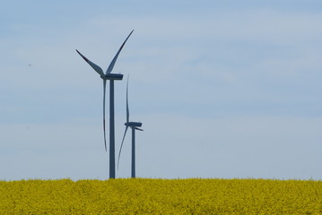 umweltschutz mit windenergie und biodiesel