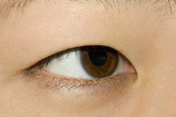 Fototapeta premium 382 asian eye