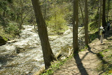 Obraz premium hiking along the creek