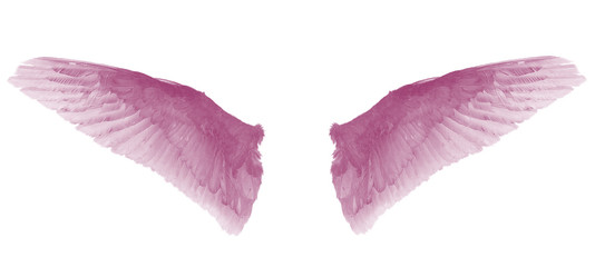 heaven pink wings