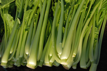 Obraz premium green vegetables