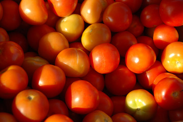 tomatoes selling