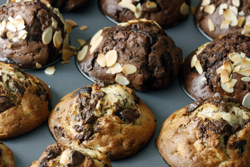 muffins
