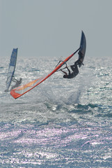 Naklejka premium windsurf
