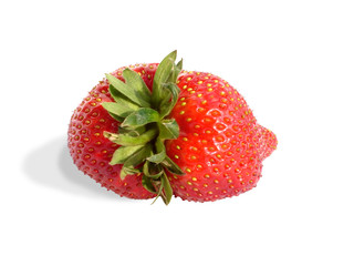 strawberry 01