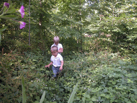 enfants dans un bois