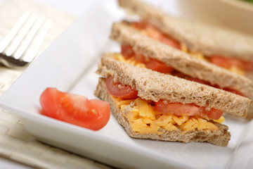 cheese and tomato sandwich