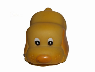 cagnolini4